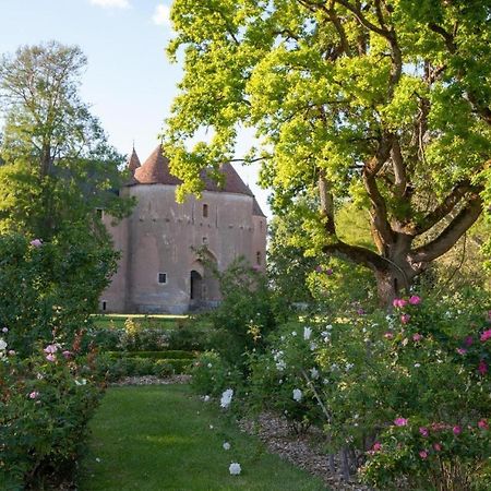 Chateau D'Ainay-Le-Vieil Exterior foto